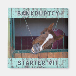 愛：ウマ科の破産スターターキットマグネット マグネット