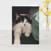 愛 カード (黄色い花)