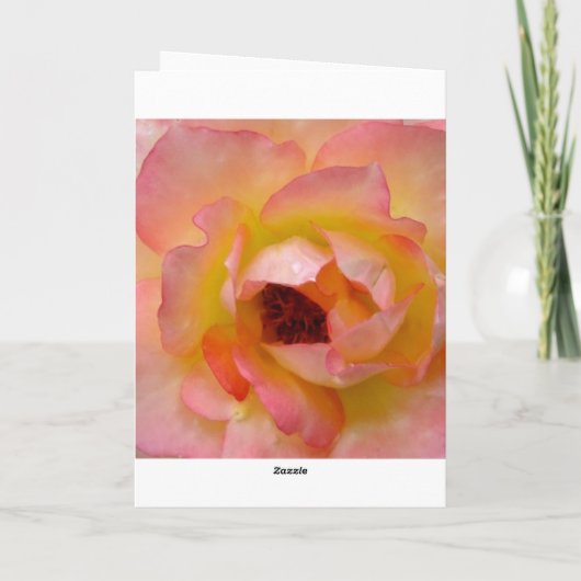 愛 シーズンカード (裏面)