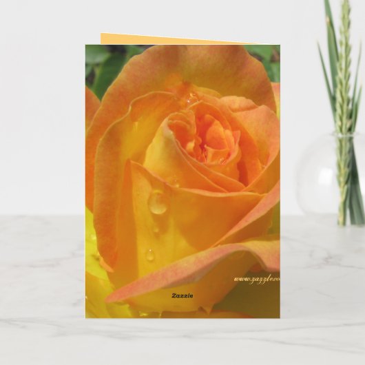 愛 シーズンカード (裏面)