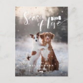 愛|スタイリッシュな原稿ペットクリスマスの季節 シーズンポストカード (正面)