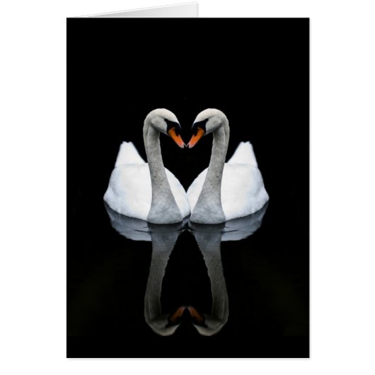愛、ハートの形、白い白鳥の反射 (正面)