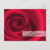 愛.バレンタインデレッドローズ シーズンポストカード (正面)