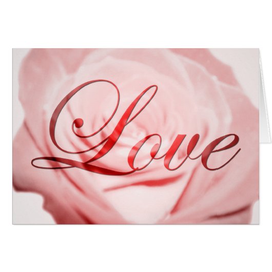 愛：ピンクの花： (正面横)