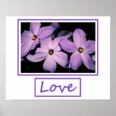 愛 ポスター (正面)