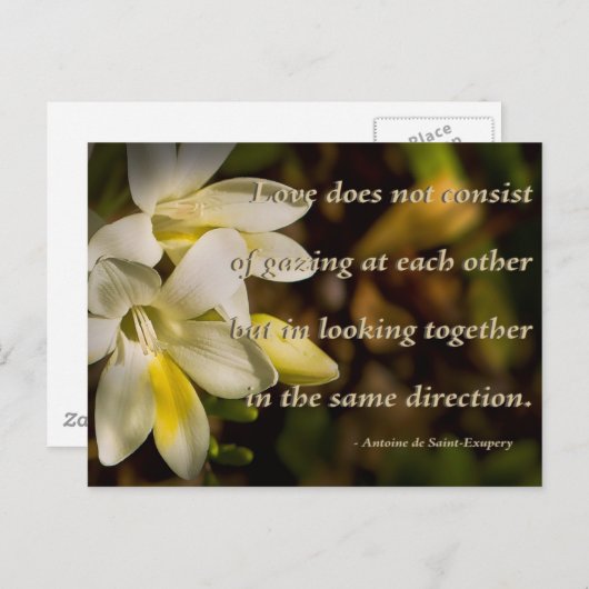 愛... ポストカード (正面/裏面)