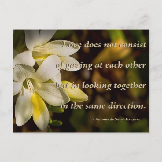 愛... ポストカード (正面)