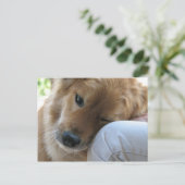 愛 ポストカード (スタンド正面)