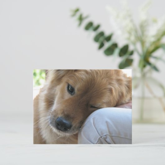 愛 ポストカード (スタンド正面)