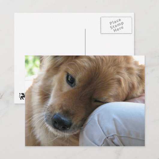 愛 ポストカード (正面/裏面)