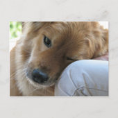 愛 ポストカード (正面)