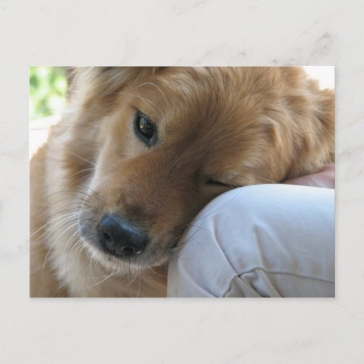 愛 ポストカード (正面)