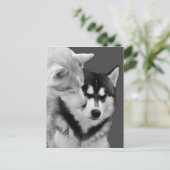 愛 ポストカード (スタンド正面)