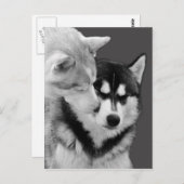 愛 ポストカード (正面/裏面)