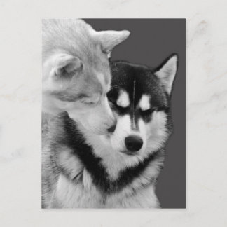 愛 ポストカード