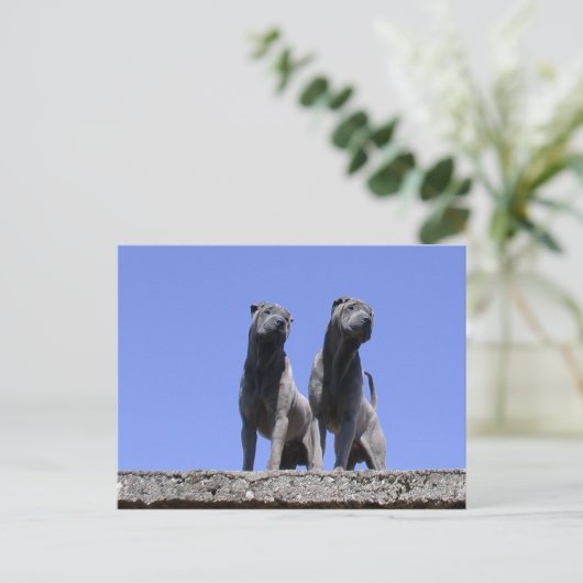 愛... ポストカード (スタンド正面)