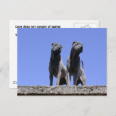 愛... ポストカード (正面/裏面)