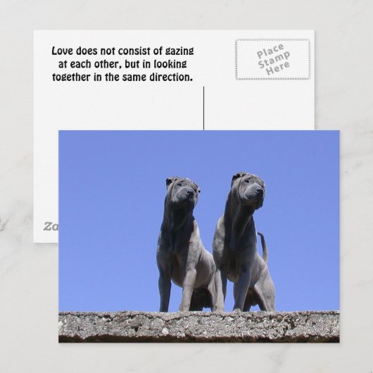 愛... ポストカード (正面/裏面)