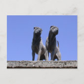 愛... ポストカード (正面)