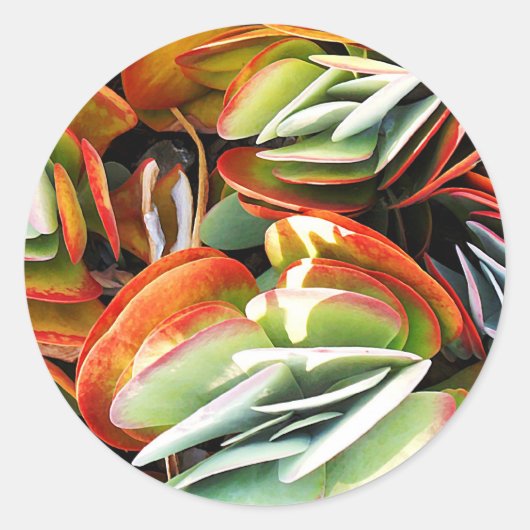 愛_ ラウンドシール (正面)