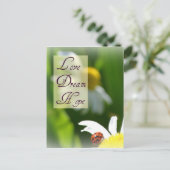 愛、夢、希望レディバグのポストカード ポストカード (スタンド正面)