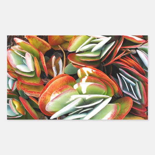 愛_ 長方形シール (正面)