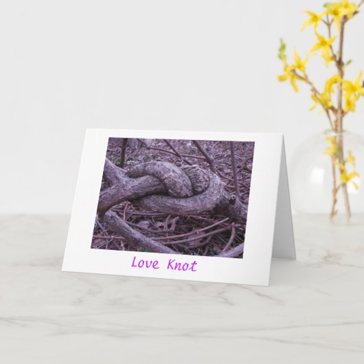 「愛Knot カード (黄色い花)