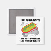 愛Prokaryotes地球上で最も支配的な生命型枠 マグネット (正面/裏面)