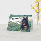 感じのよりよいすぐにフレンチ・ブルドッグカード カード (黄色い花)