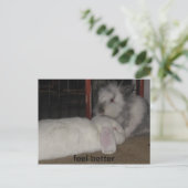 感じより良い ポストカード (スタンド正面)