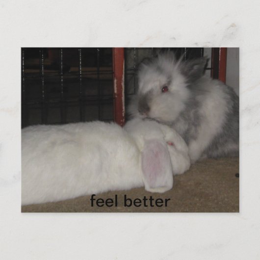 感じより良い ポストカード (正面)