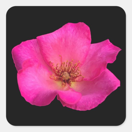 感じバラ スクエアシール (正面)