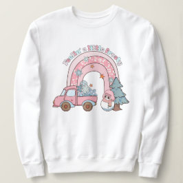 感じ少し霜の降りた スウェットシャツ