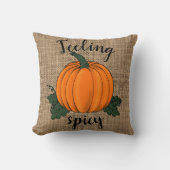 感じ辛 クッション (正面)