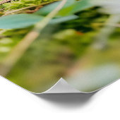 感じHedgehogとAppleのデイジーパッチ ポスター (角)