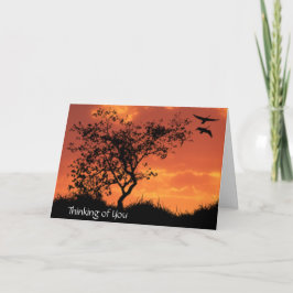 感動のカード1 カード