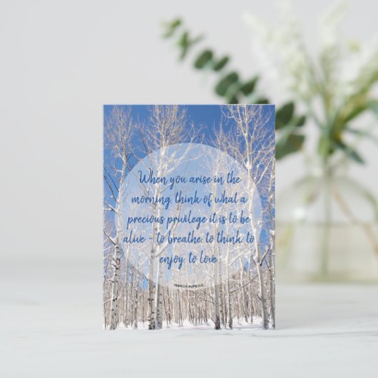 感動のシナノキ冬景色写真&名言 ポストカード (スタンド正面)