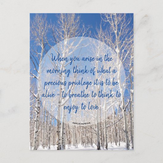 感動のシナノキ冬景色写真&名言 ポストカード (正面)