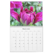 感動的な自然のカレンダー カレンダー (3月 2026)