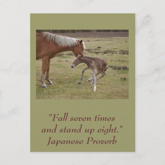 感動的はがき:勇気付けられる ポストカード (正面)