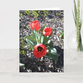 感動的勇気付けられるカード シーズンカード