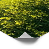 感動的引用文バイエレノールルーズベルト ポスター (角)