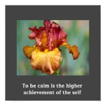 感動的引用文ポスター