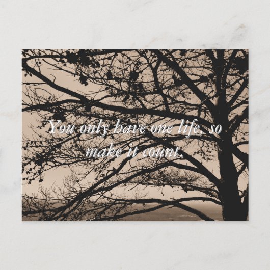 感動的引用文写真はがき ポストカード (正面)