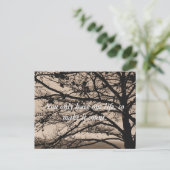 感動的引用文写真はがき ポストカード (スタンド正面)