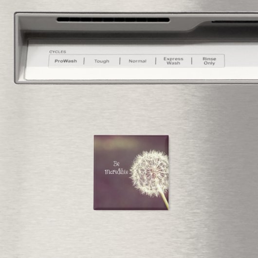 感動的引用文：信じられない マグネット (インサイチュ (食洗機))