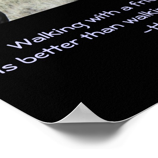 感動的引用文.2つの茶色の野生の馬ヌズリング ポスター (角)