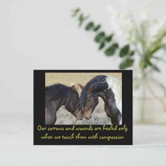 感動的引用文。2頭の野生の馬 ポストカード (スタンド正面)