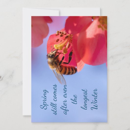 感動的春 (正面)