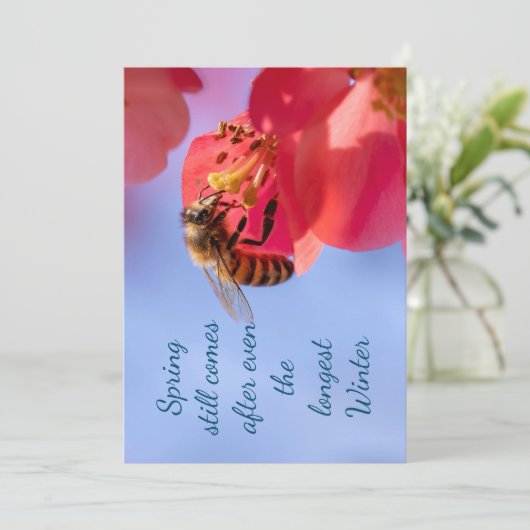 感動的春 (スタンド正面)